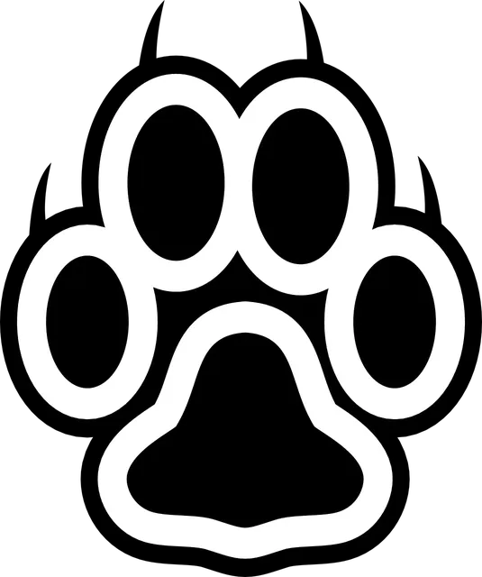 C3 Logo.png